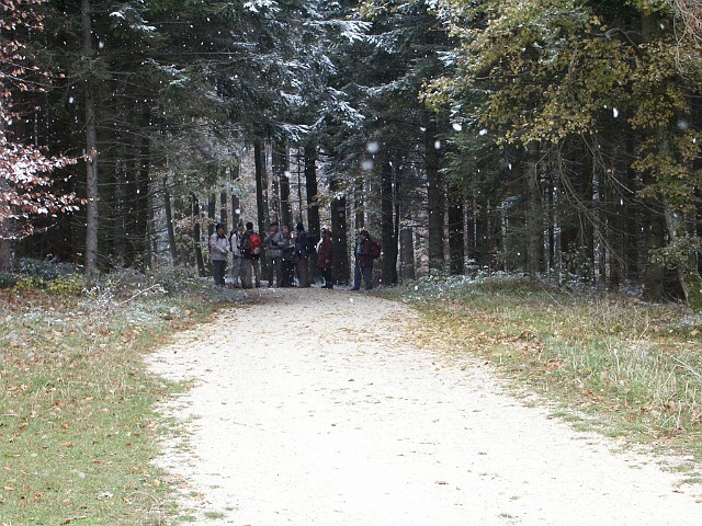 Raichberg 2007 Bild 31